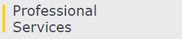 Professional Services