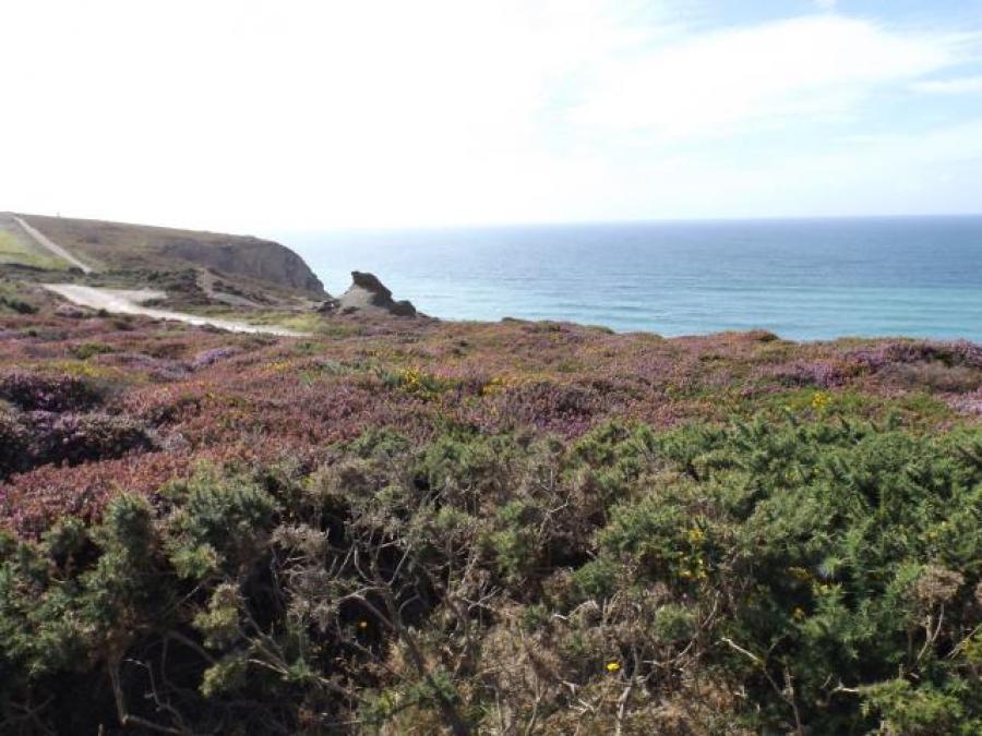 Land At Southview Farm, Jollys Lane, Porthtowan, Truro, Cornwall