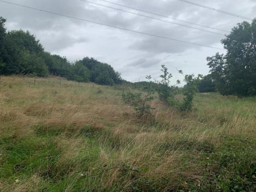 Lodge Farm, Lodge Lane, Cannock, Staffordshire