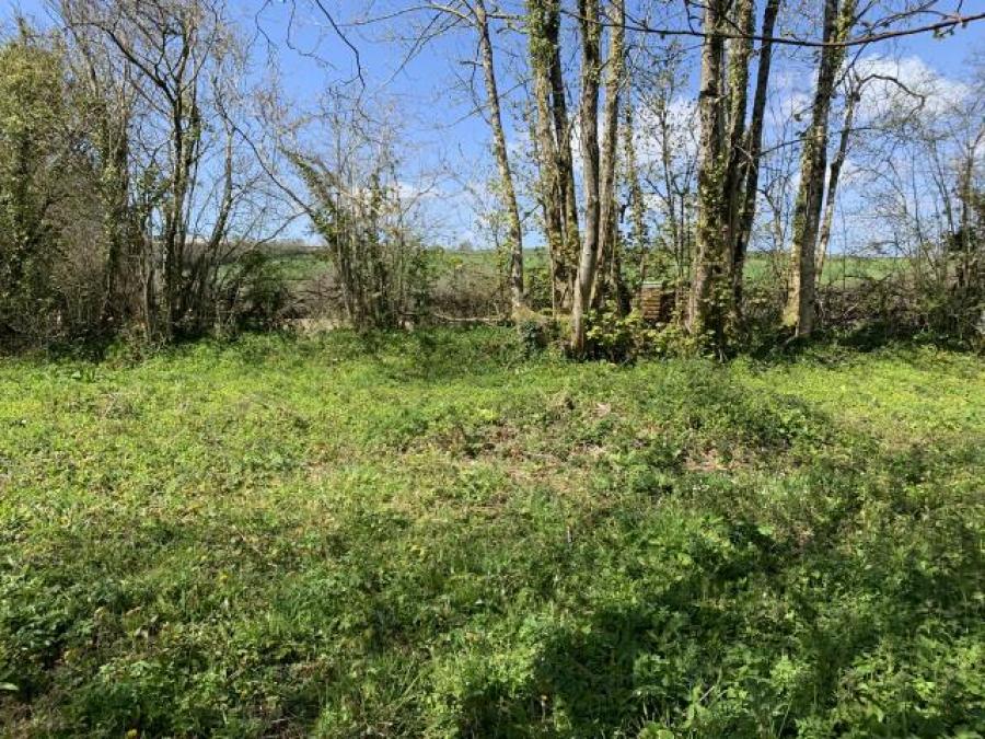 Land At Crossview, Dean Prior, Buckfastleigh, Devon