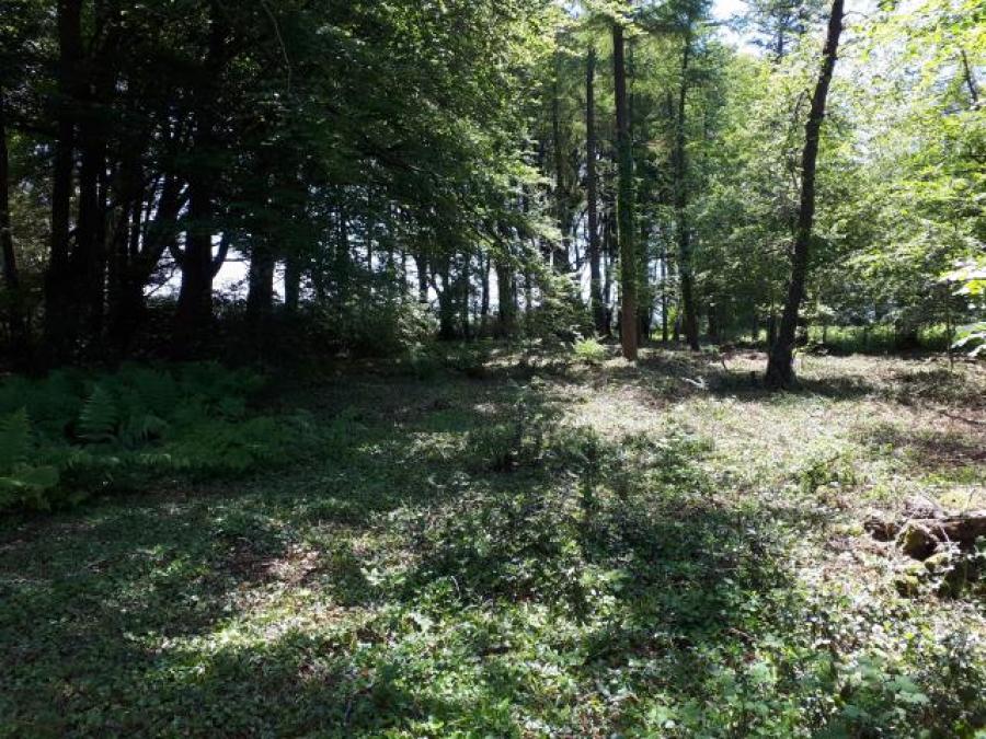 Land West Of Wadstray House, Blackawton, Totnes, Devon