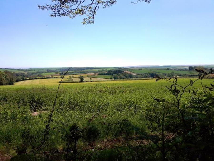 Land West Of Wadstray House, Blackawton, Totnes, Devon