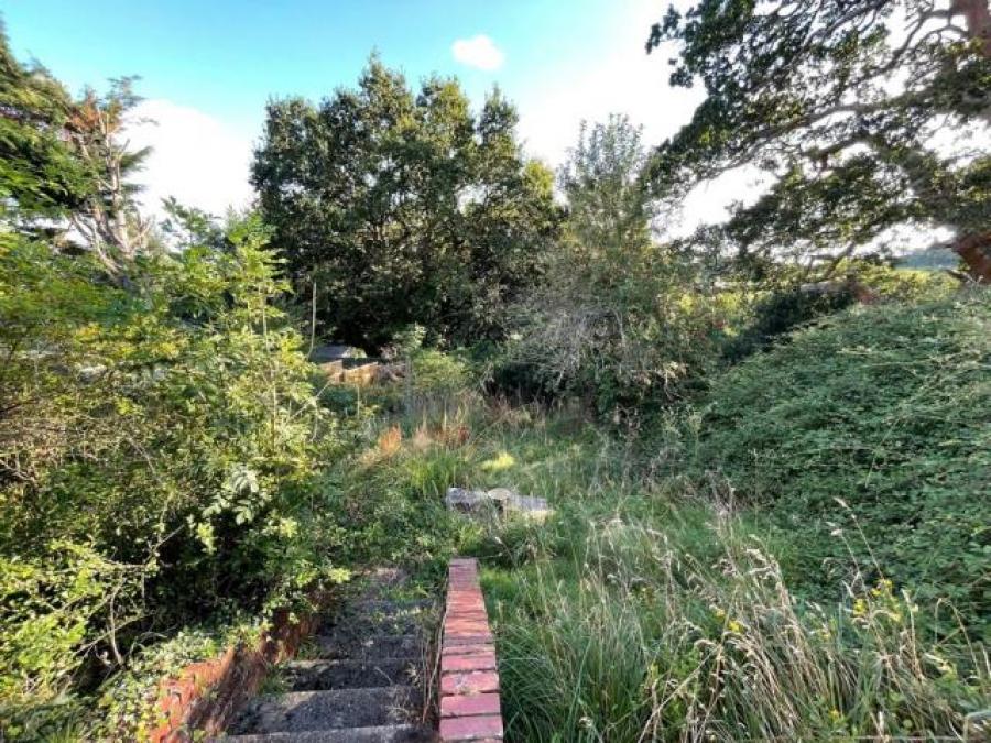 7 Redhills Close, Exeter