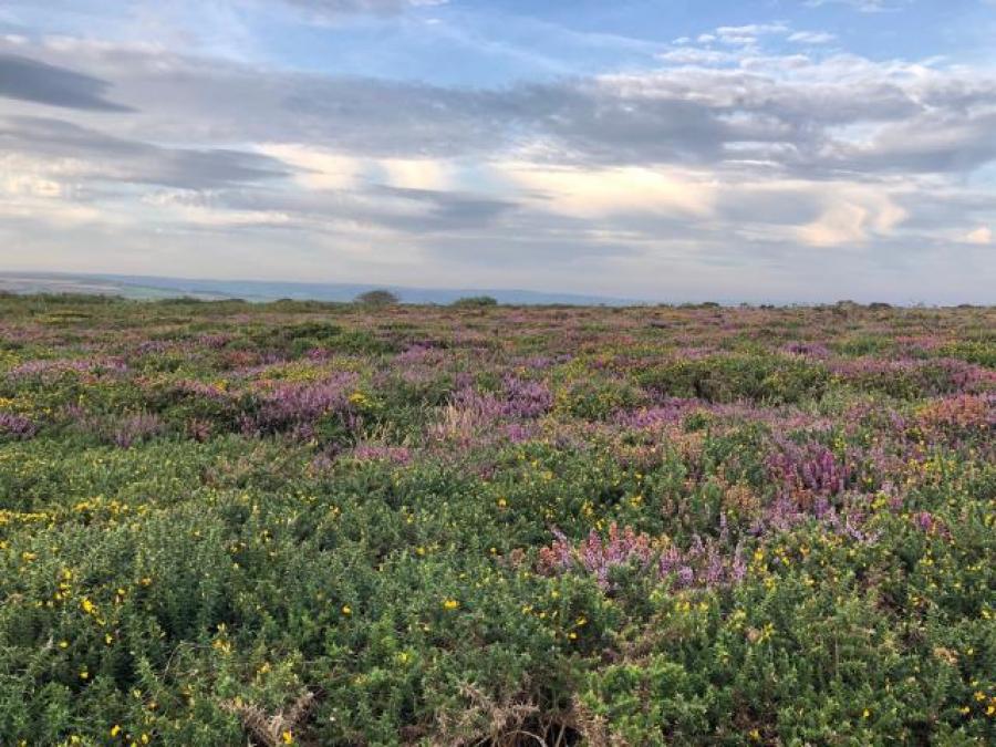 Caer Bran & Land, Sancreed, Penzance, Cornwall