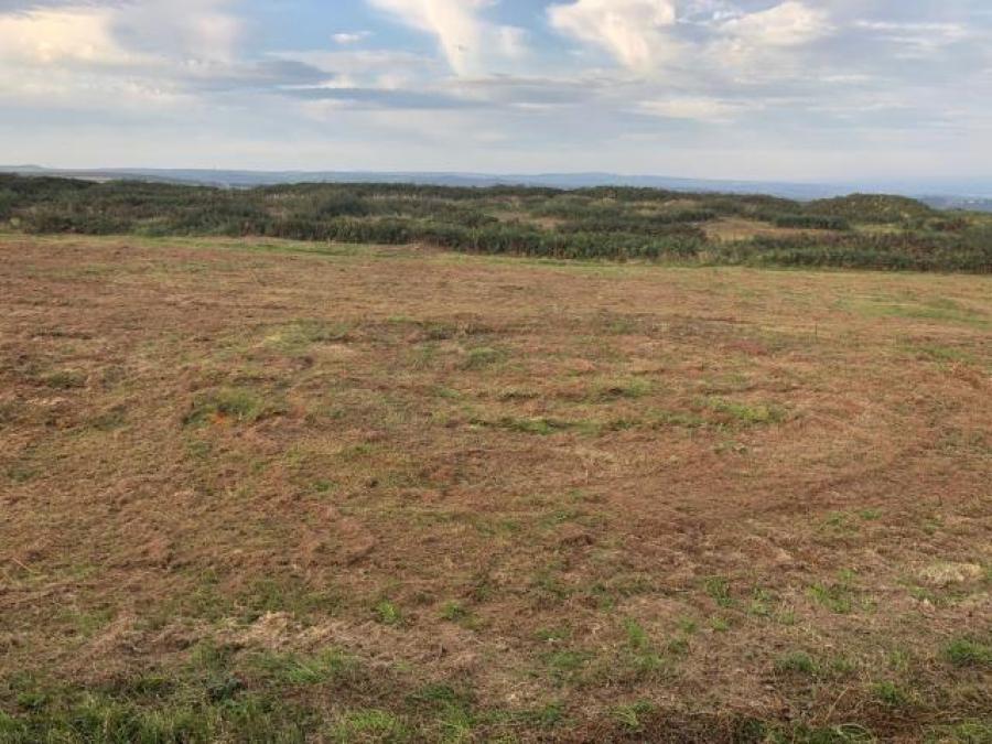 Caer Bran & Land, Sancreed, Penzance, Cornwall