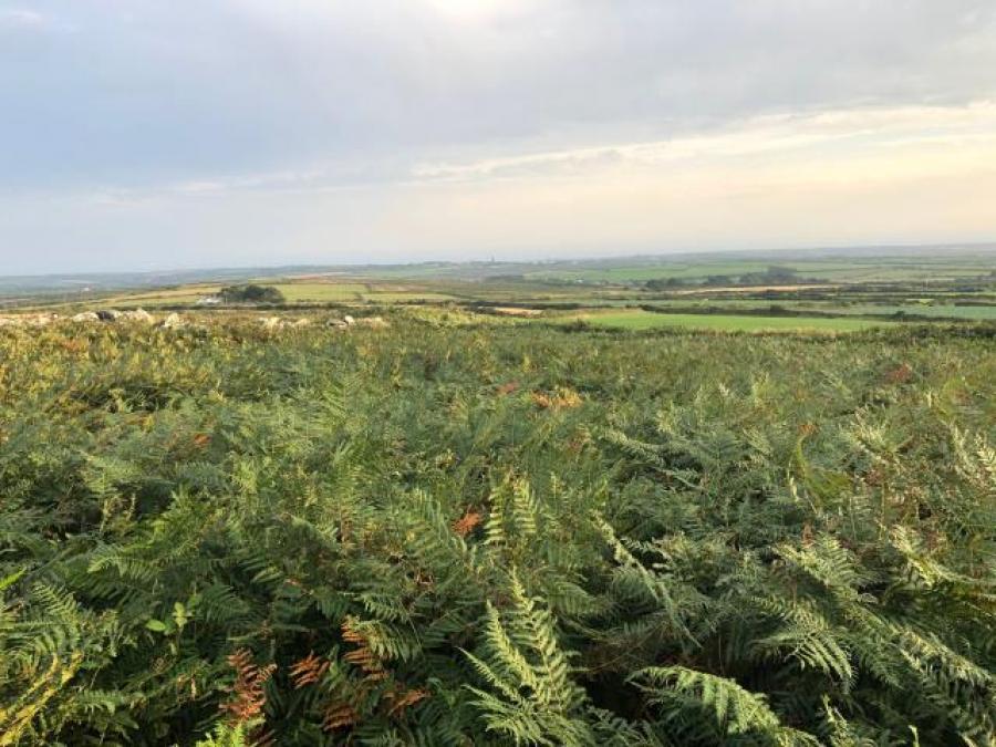Caer Bran & Land, Sancreed, Penzance, Cornwall