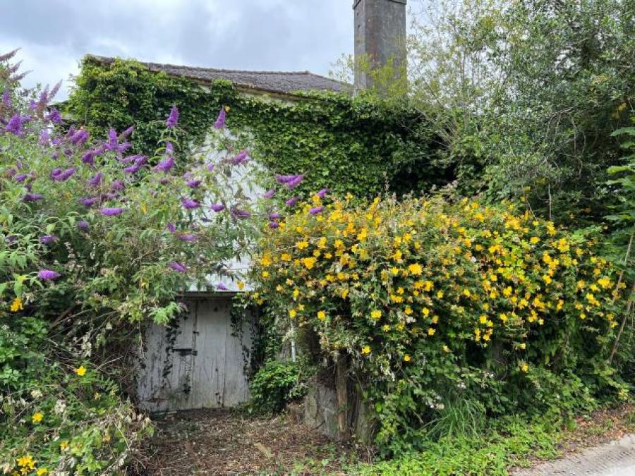 19 Smallack Drive, Plymouth