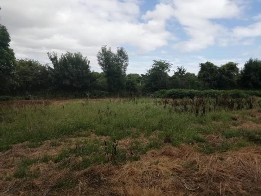 Land At New Road, St. Hilary, Penzance, Cornwall