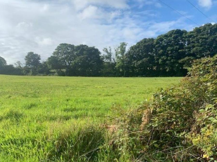Treleague Barns, St. Keverne, Helston, Cornwall
