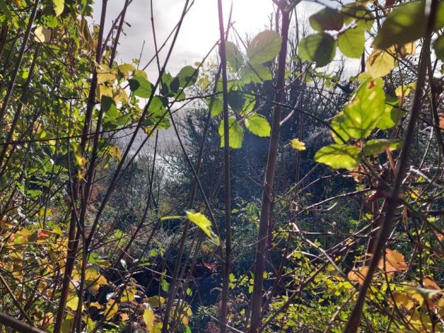 Land Adjacent Bridge Road, Kingswear, Dartmouth, Devon