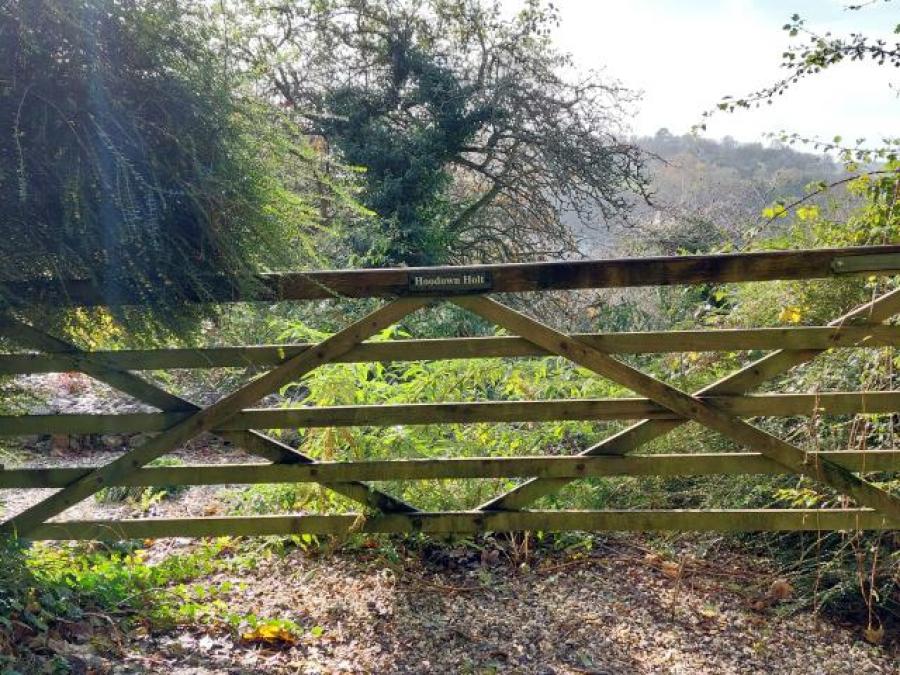 Land Adjacent Bridge Road, Kingswear, Dartmouth, Devon