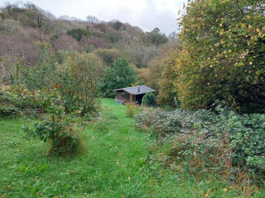 The Orchard, Wringworthy, Morval, Looe, Cornwall