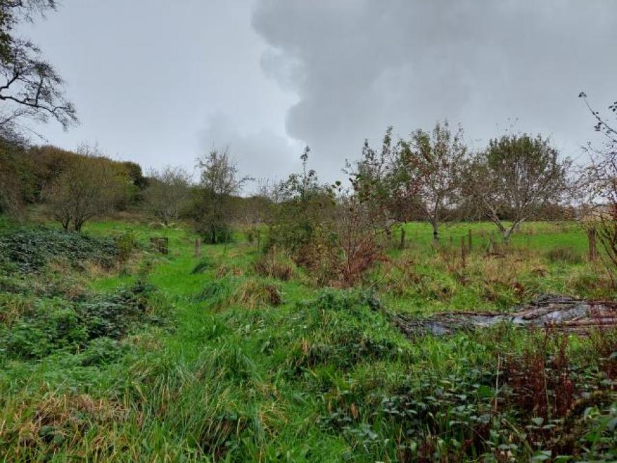 The Orchard, Wringworthy, Morval, Looe, Cornwall