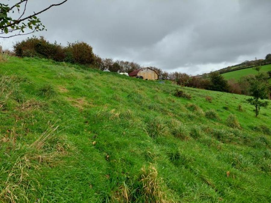 The Orchard, Wringworthy, Morval, Looe, Cornwall
