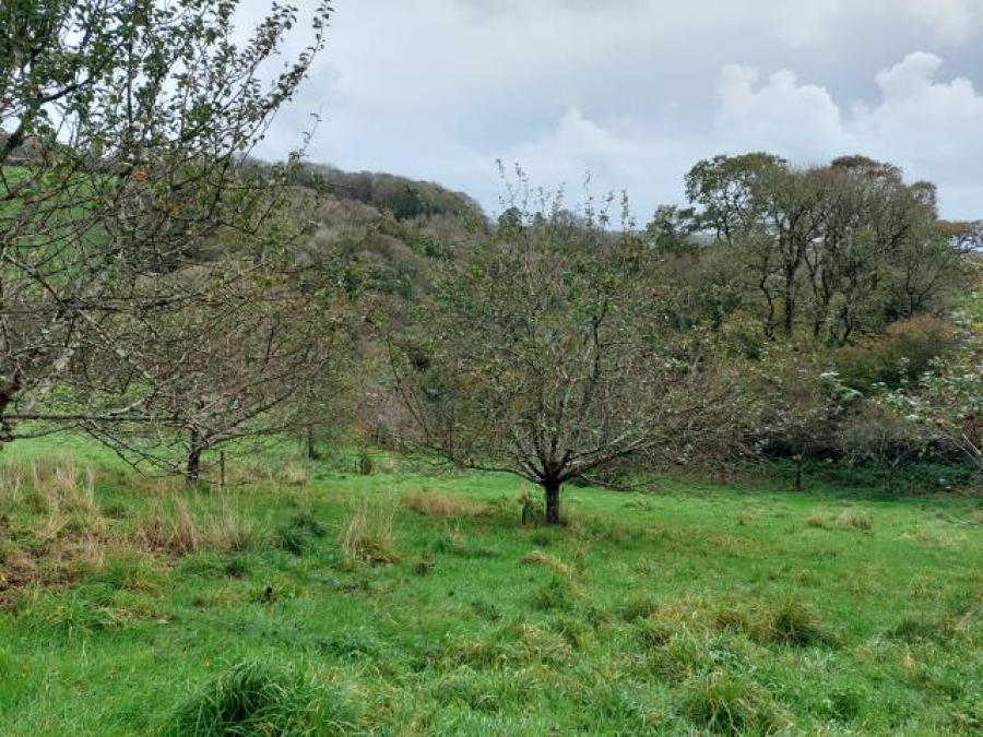 The Orchard, Wringworthy, Morval, Looe, Cornwall